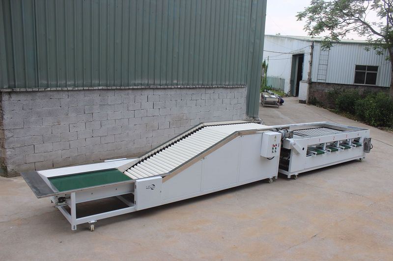 apple sorting machine