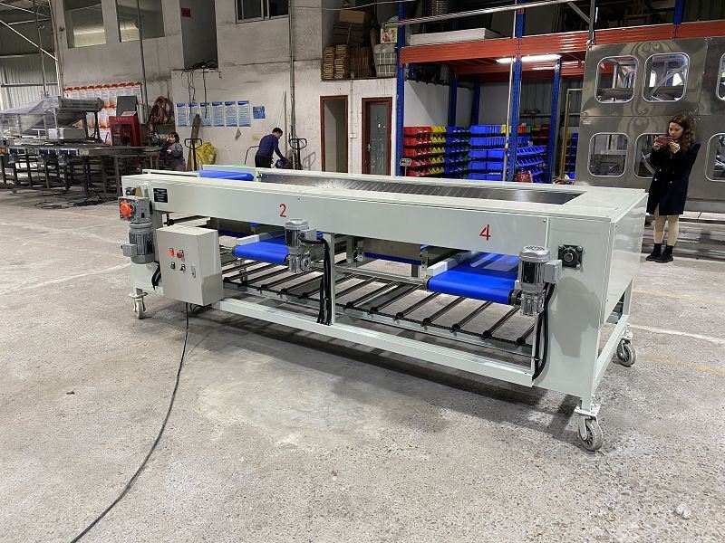 garlic sorting machine