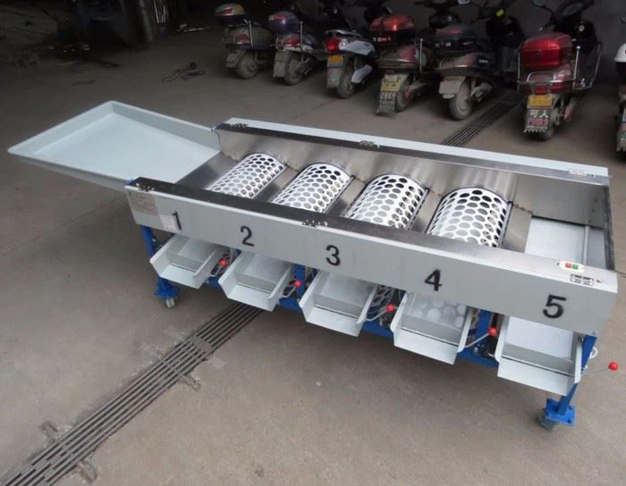 Apple Lemon Sorting Machine