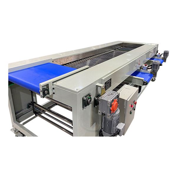 Onion Size Sorting Machine