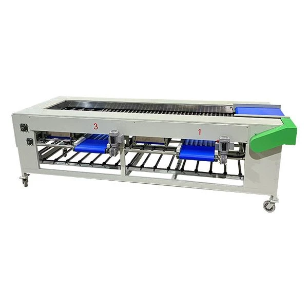 Onion Size Sorting Machine