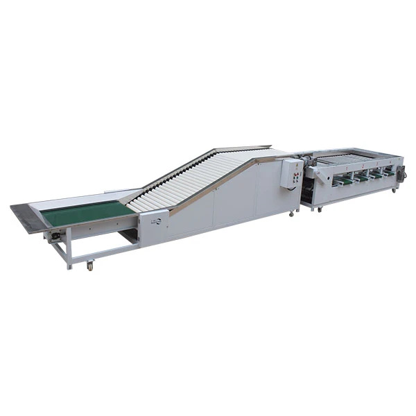 Onion Size Sorting Machine