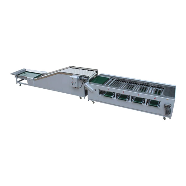 Onion Size Sorting Machine
