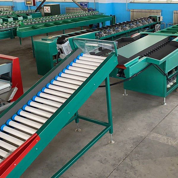 Pomegranate Sorting Machine