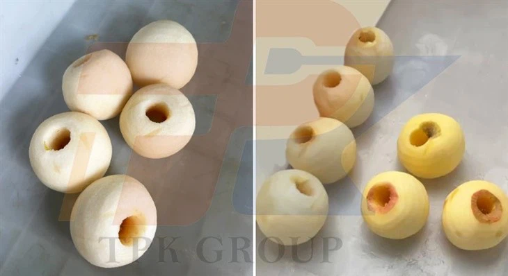 Apple Peeling Core Removing Machine price
