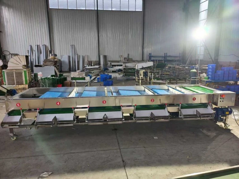 Wholesale Berry Grading Machine 5 Wholesale Berry Grading Machine 5