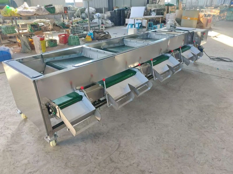 Wholesale Berry Grading Machine 17 Wholesale Berry Grading Machine 17