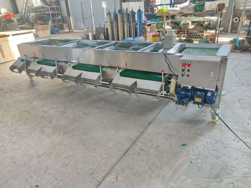 Wholesale Berry Grading Machine 16 Wholesale Berry Grading Machine 16