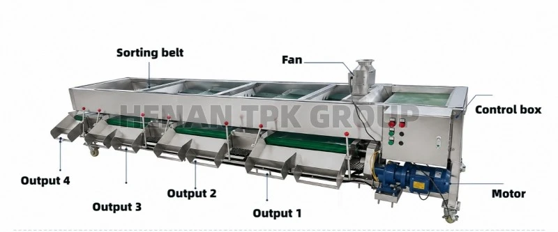 wholesale berry grading machine 20 wholesale berry grading machine 20