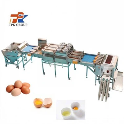 Automatische Eierpanierlinie