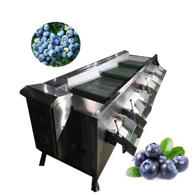 Blaubeer -Sortiermaschine