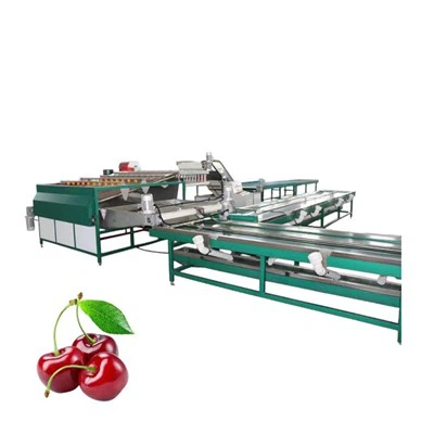 Kirschsortier-Vorkühlmaschine