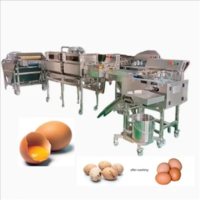 Eierwasch-Produktionslinie