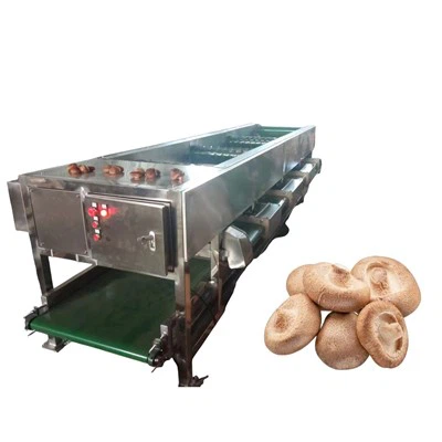 Sortiermaschine für Pilzfrüchte
