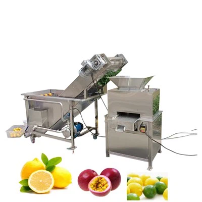 Professionelle Zitrus-Orangen-Zitronen-Entsafter-Maschine