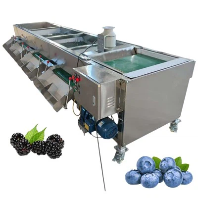 Sortieren der Sortierung von Blaubeeren Grader Blueberry Sortierer