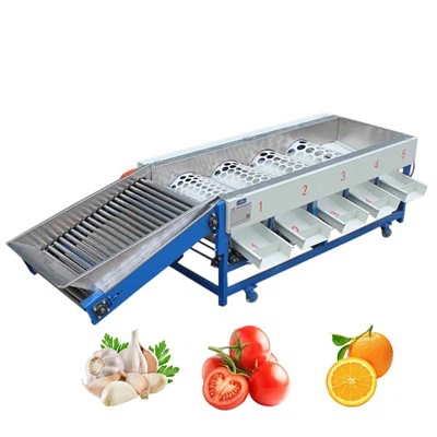 Tomatenfruchtsortiermaschine