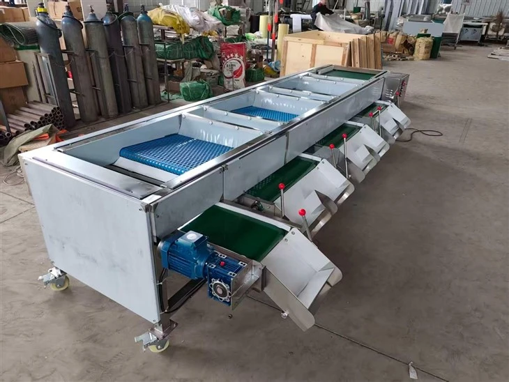 Wholesale Berry Grading Machine (8)